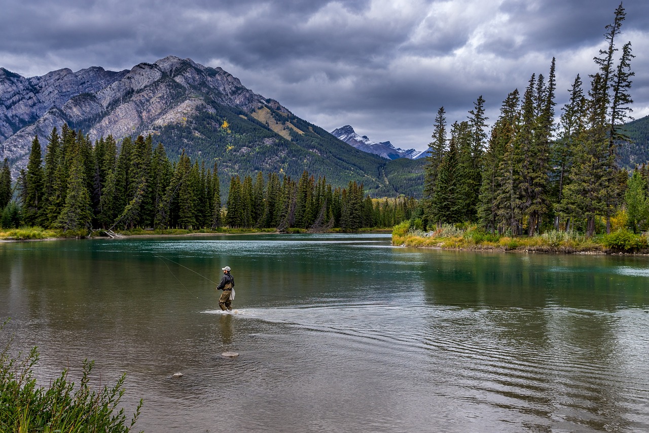 The Untouched Landscapes of the United States’ Denali National Park